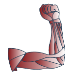 Ciro
